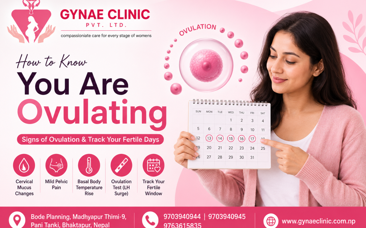 How to know you are ovulating and common signs of ovulation