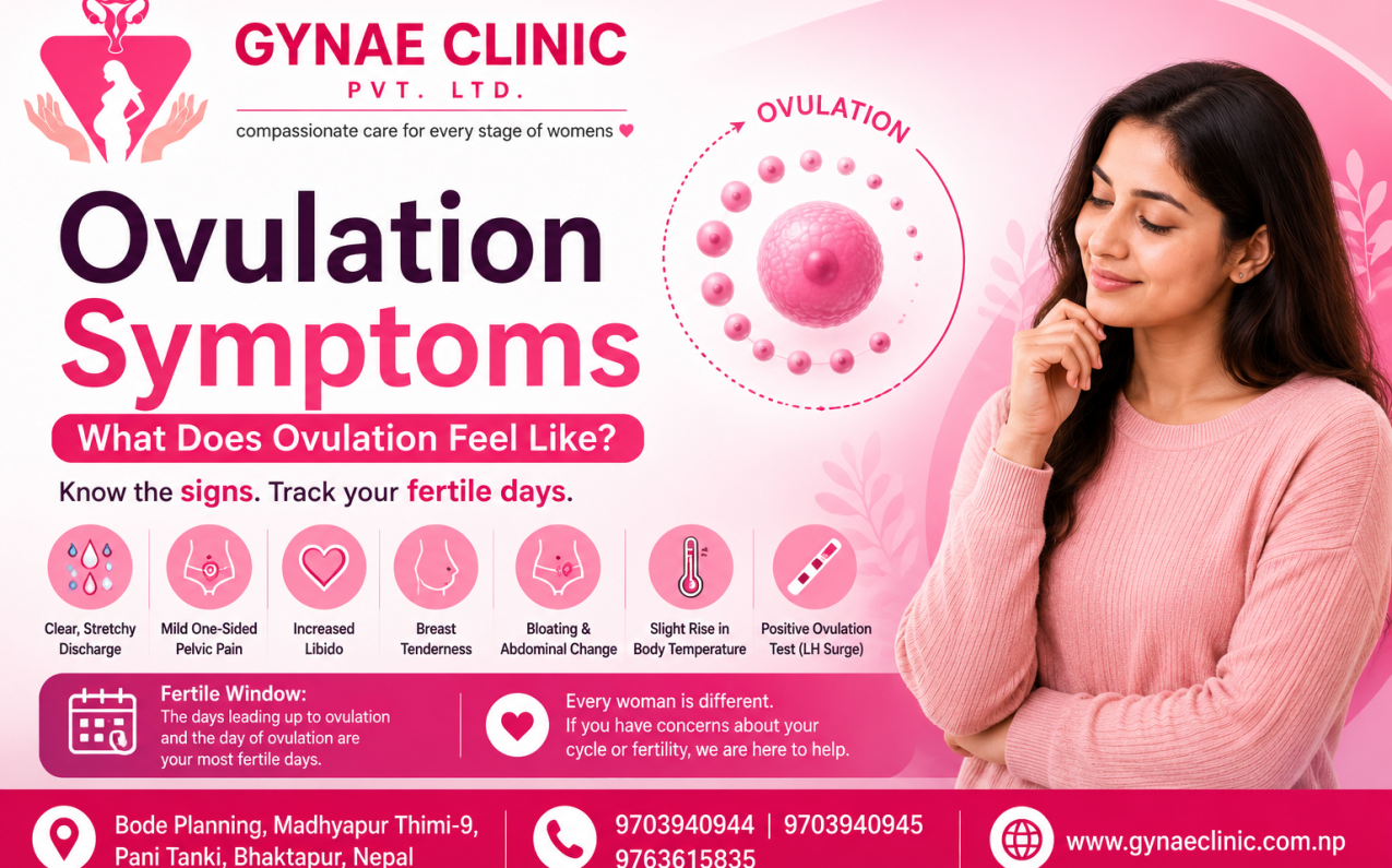 Ovulation symptoms and what ovulation feels like in women